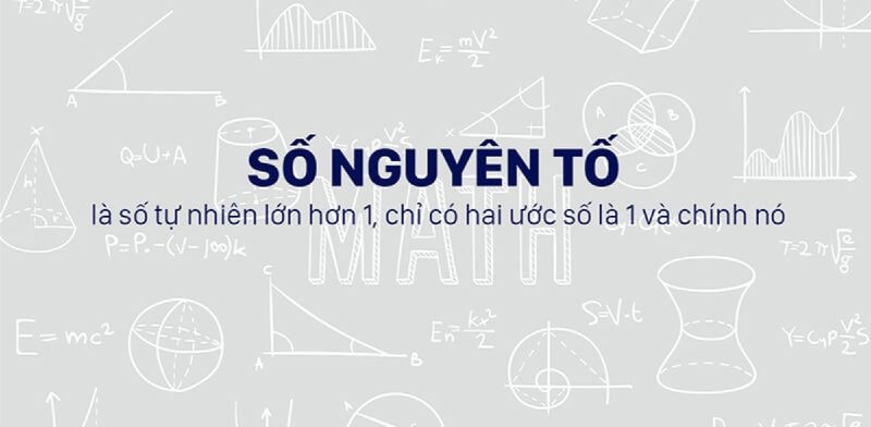 bi-mat-so-nguyen-to-kham-pha-tinh-chat-ky-dieu-va-phuong-phap-tim-kiem-de-hieu-kienthuctruyen-com-15-1