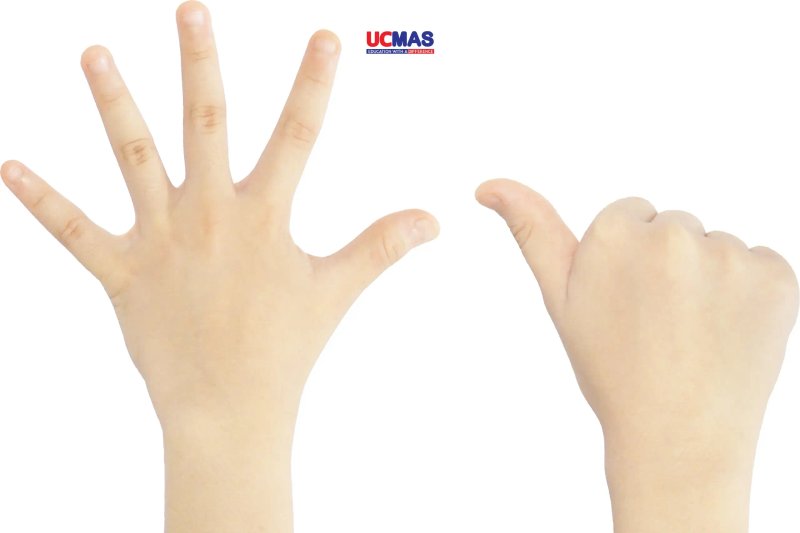 so-sanh-chi-tiet-ucmas-finger-math-soroban-chon-phuong-phap-nao-cho-con-kienthuctruyen-com-11-2